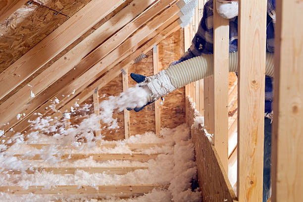 Best Blown-In Insulation  in Waynesboro, TN